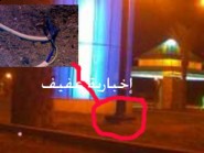 الصحة" تدعو المواطنين والمقيمين الراغبين في الحج بالتطعيم ضد أنفلونزا الخنازير"