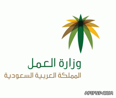 اعلان القائمه النهائية للمرشحين لبلدي عفيف وبدء الحملات الانتخابية