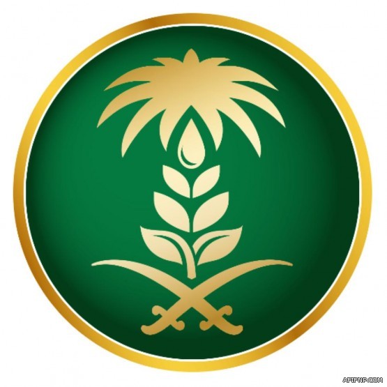 المملكة رئيساً للمكتب التنفيذي لمجلس الوزراء العرب المعنيين بشئون الأرصاد الجوية