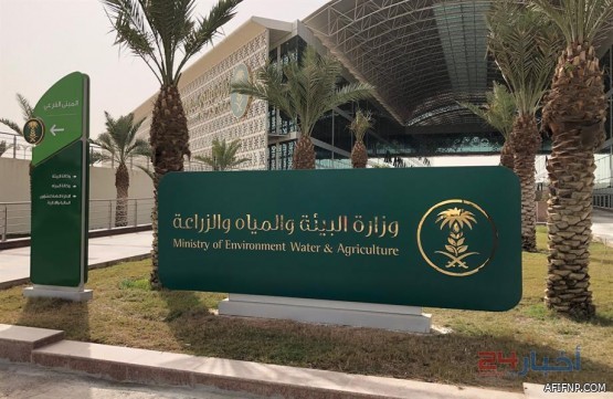 “جامعة الإمام” تفتح باب التقديم على وظائف تعليمية بالمعاهد العلمية