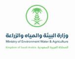 “البيئة” تعلن تمديد العمل بحقوق استخدام المياه لسنةً ثالثة