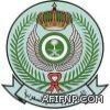 القبول في القوات الجوية أواخر الشهر الجاري