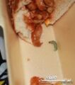 مواطن يتفاجأ بحشره ( دوده ) قدمها مطعم بعفيف بعد شرائه لوجبه غذائيه