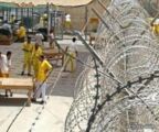 المعتقلون السعوديون في سجون العراق حاليا 38 فقط