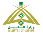 وزارة العمل تبدأ استقبال طالبي العمل من خلال قسم التوظيف عبر موقع الوزارة الإلكتروني