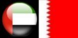 الإمارات والبحرين  تعلنا تأييدهما ووقوفهما بجانب المملكة العربية السعودية في الدفاع عن أراضيها