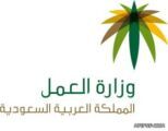 «العمل»: برنامج «دعم الأجور» يغطي 35 في المئة من السعوديين العاملين