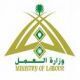 وزارة العمل توقف خدمات الحاسب الآلي عن (400) منشأة تجارية