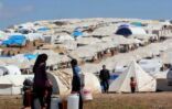عدد النازحين السوريين في لبنان يتجاوز الـ800 ألف