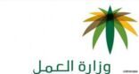 ?العمل? تصدر اللائحة الجديدة للخدمة المنزلية