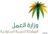 “العمل” تحدث “نطاقات” ليتواكب مع نتائج توطين الوظائف