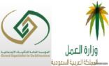 العمل والتأمينات تحاصران التوظيف الوهمي