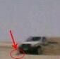 مطاردة مراهقين لثعلب  تنتهي بإنقلاب سيارتهم شمال عفيف
