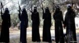 مصر: تحذير للفتيات من الزواج من مقاتلي «داعش»