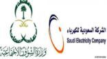 الكهرباء: استفادة أسر «الضمان» من الأرصدة الدائنة