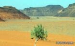 الجهات الأمنية تباشر العثور على جثة شخص في صحراء عفيف