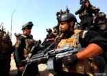 مقتل العشرات من عناصر تنظيم داعش بعمليات عسكرية غرب العراق