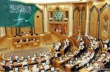 “مجلس الشورى” يناقش تعديل مدة صلاحية الجواز