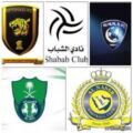 خصخصة الأندية الخمسة الكبرى منتصف العام المقبل