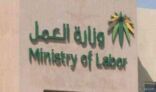 56 ألف عامل رفعوا قضايا أمام “العمل” ضد منشآت بالقطاع الخاص خلال عام