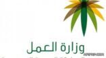 “العمل” تطلق خدمة “مستشارك العمالي” لتعريف العاملين في القطاع الخاص بحقوقهم