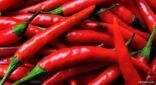 “الزراعة” ترفع الحظر عن استيراد “الفلفل” من الهند