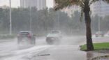 «الارصاد»: أمطار رعدية على 10 مناطق