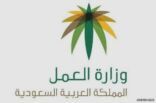 مصادر: 4770 مستفيداً من “الضمان الاجتماعي” يملكون عقارات.. أحدهم يملك عقاراً بـ100 مليون ريال
