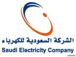 «الكهرباء»: اكتمال الخدمات إلكترونيا