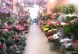 وزارة العمل تتجه لتأنيث قطاع بيع وتنسيق الزهور