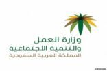 “العمل والتنمية ” تستطلع آراء ومقترحات أصحاب مكاتب تأجير السيارات تمهيداً للتوطين