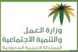 العمل تعلن مهلة جديدة لتحديث بيانات الضمان الاجتماعي