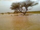 صور لأمطار يوم الأحد على محافظة عفيف وعدد من القرى التابعه لها