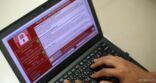 الأمن الإلكتروني يؤكد إصابة عدد من الجهات الحكومية بهجوم «الفدية»