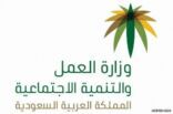 “العمل” تطلق برنامج “التوطين الموازي” لتمكين المنشآت من رفع نطاقاتها مقابل مساهمتها في تدريب السعوديين