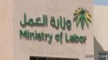 “العمل”: جولات تفتيشية ميدانية على جميع المنشآت خلال إجازة عيد الفطر