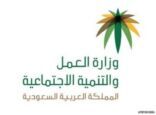 “العمل” : مغادرة 516 عاملة منزلية في أسبوع و 239 يتأهبن للسفر