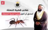 المترافع في قضية “نملة عفيف” يكشف التفاصيل