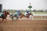 نادي الفروسية بالطائف: فتح أبواب ميدان الملك خالد أمام العوائل لحضور سباقات الخيول