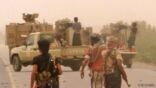 مصدر عسكري: 123 حوثياً يستسلمون للجيش الوطني اليمني في “الحديدة”