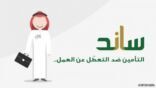 «التأمينات» تحسم طبيعة عمل برنامج «ساند».. وتوجه رسالة مهمة للمستفيدين