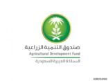 تخصيص 3 مليارات للتمويل المساند لبرنامج التنمية الريفية الزراعية المستدامة