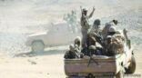 الجيش اليمني يستعيد مديرية دمت ويفرض حصاراً على الحوثيين في الحديدة