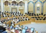 أعضاء بـ”الشورى” يتهمون وزارة الاتصالات بالتقصير في مواجهة عصابات الاحتيال المالي