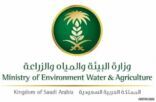 «البيئة» تحظر مؤقتاً استيراد البصل المصري بسبب تلوثه بمتبقيات المبيدات