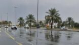 الطقس: توقعات بهطول أمطار رعدية على الرياض والشرقية وانخفاض درجات الحرارة
