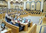 “الشورى” يطالب بإعادة النظر في استراتيجية إصلاح “التعليم” والتوسع في المنح الداخلية