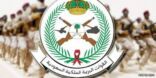 وظائف شاغرة بالتعاقد المباشر في القوات البرية.. تعرف على التفاصيل