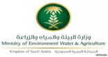 « البيئة » تؤكد عدم صدور قرار بفرض رسوم على استهلاك مياه الآبار في المزارع