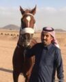 الحصان “ورد” للـ “الخراصي” يخطف المركز الأول في سباق الخيل